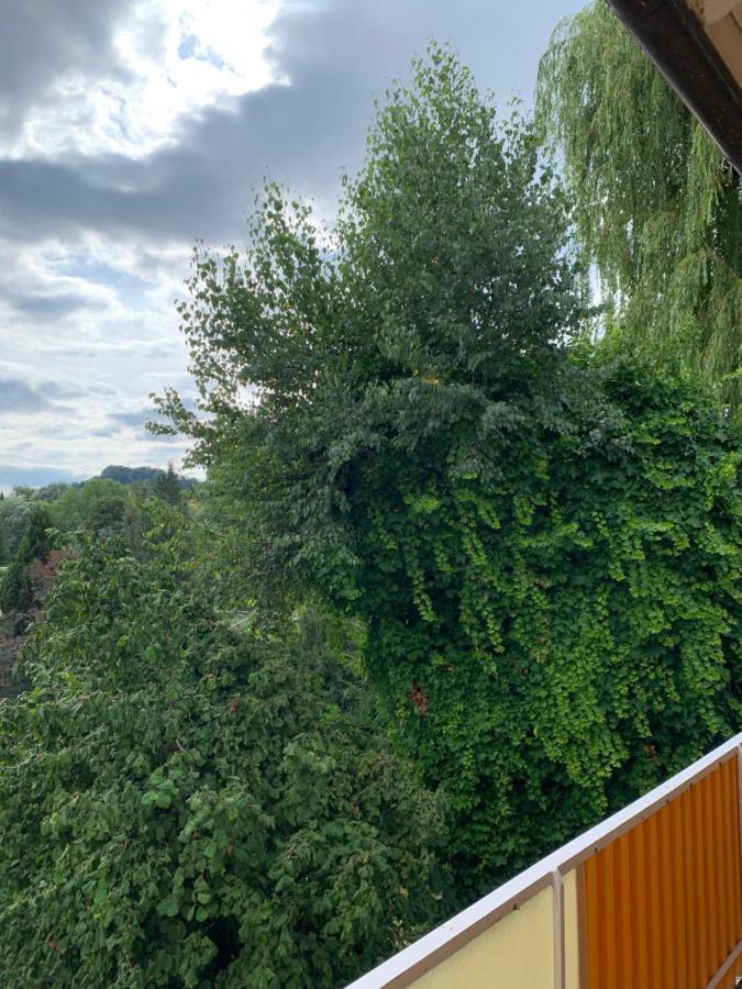 Rielasingen-Worblingen Apartament Blumenblick מראה חיצוני תמונה