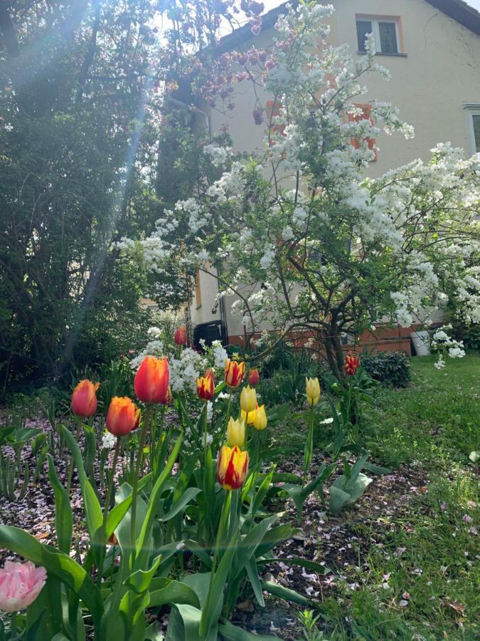 Rielasingen-Worblingen Apartament Blumenblick מראה חיצוני תמונה