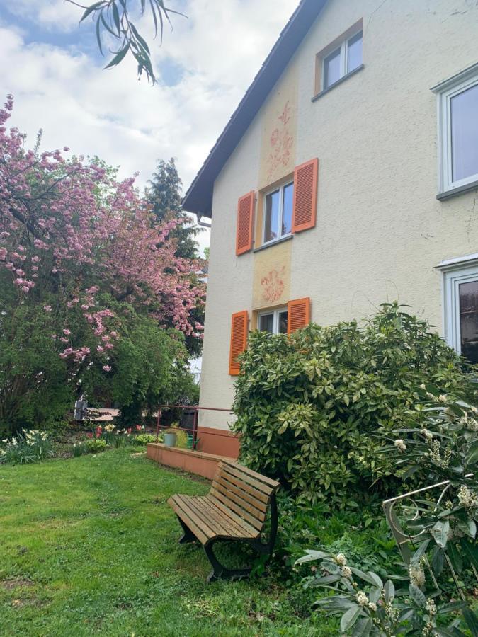 Rielasingen-Worblingen Apartament Blumenblick מראה חיצוני תמונה