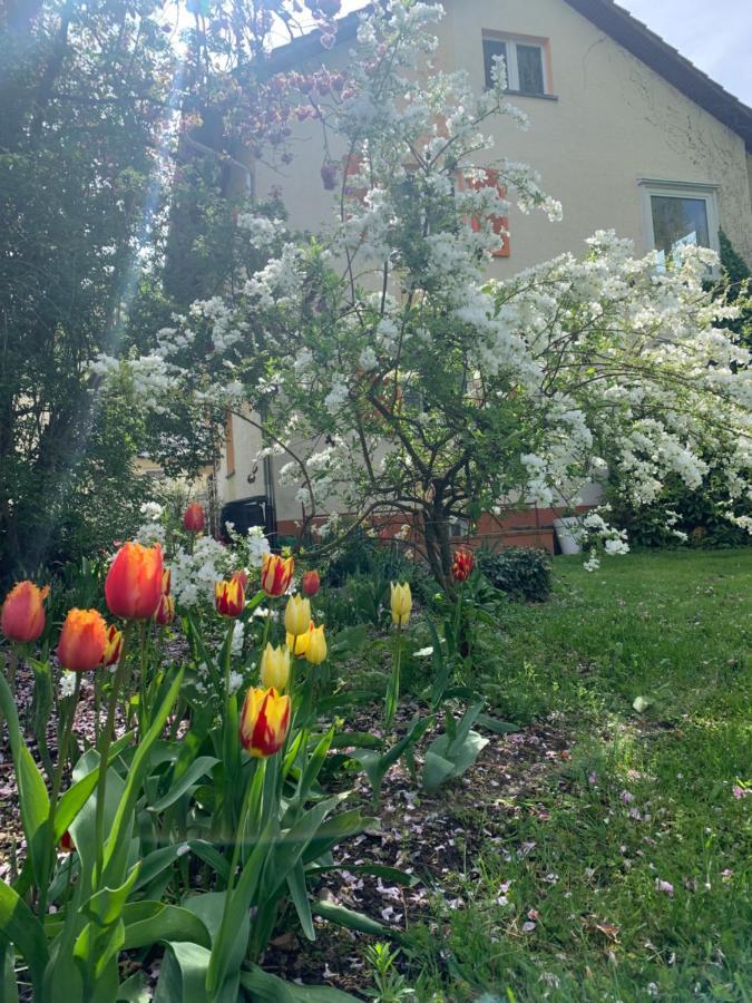 Rielasingen-Worblingen Apartament Blumenblick מראה חיצוני תמונה