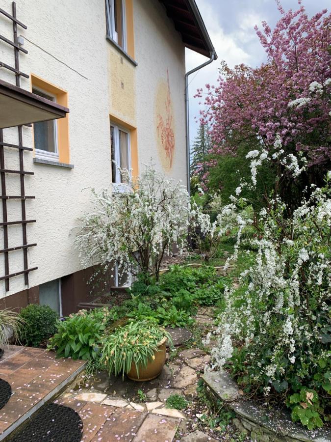 Rielasingen-Worblingen Apartament Blumenblick מראה חיצוני תמונה